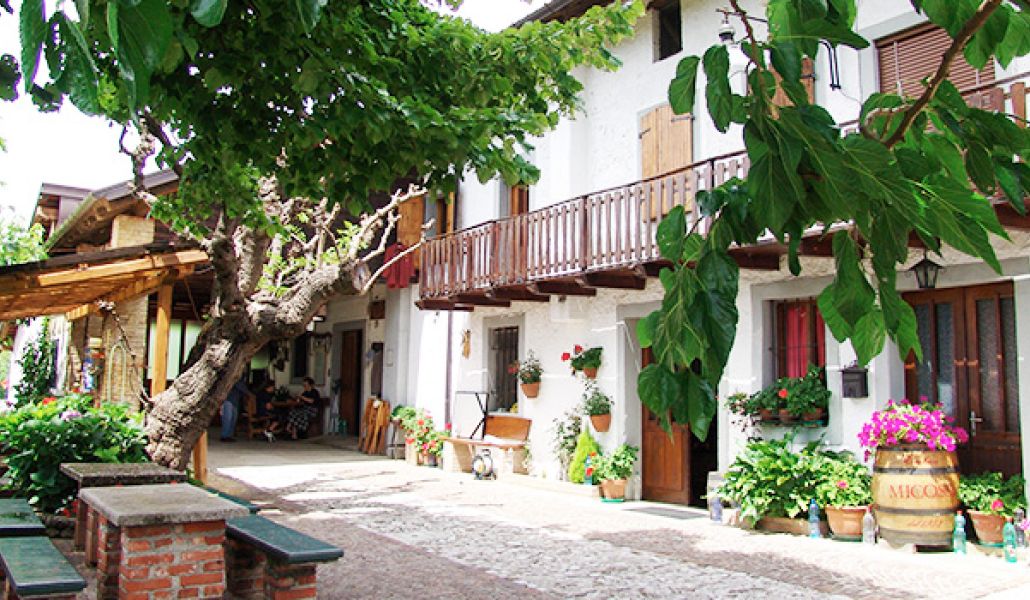 vigneti micossi degustazione vino