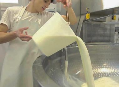 Casaro latteria castions