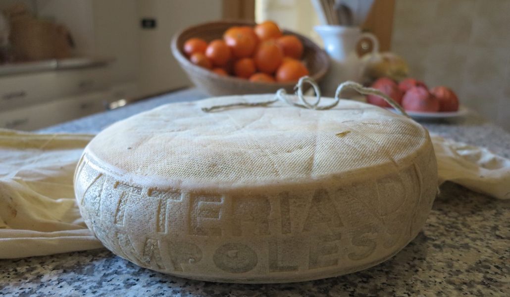 formaggio latteria turnaria di campolessi