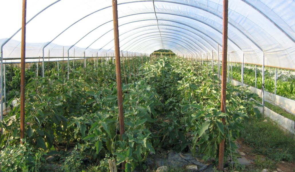 azienda agricola del zotto luca