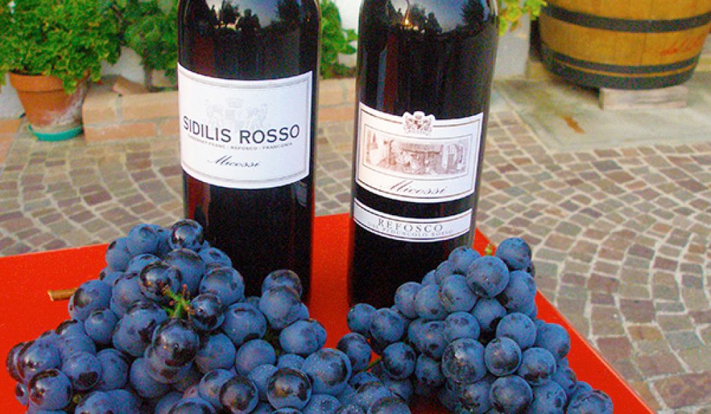 vigneti micossi vino colli orientali