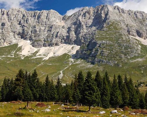 altopiano montasio dop