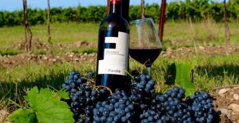 Refosco Forchir, certificato SQNPI.