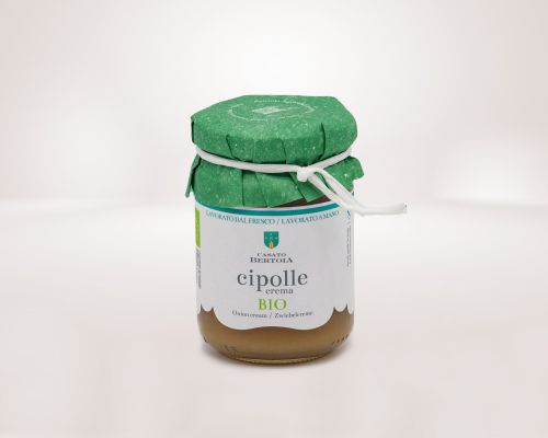 crema di cipolle