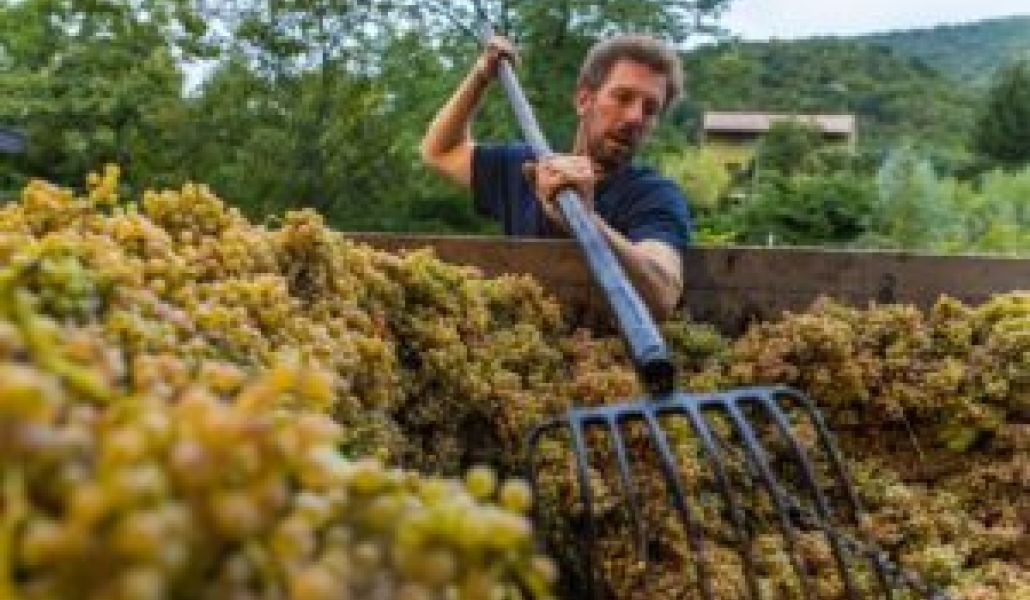 azienda agricola di gaspero flavia e umberto