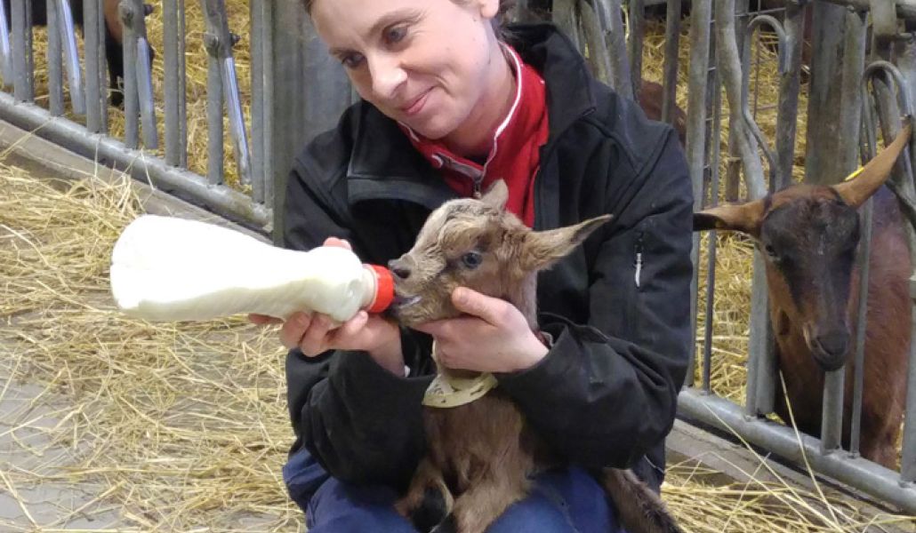 alessia berra azienda agricola zore