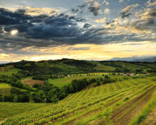 colli orientali del Friuli