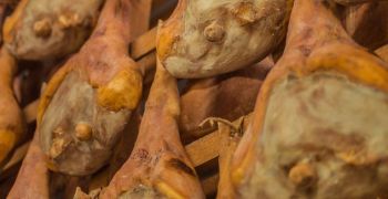 Prosciutto Crudo San Daniele DOP