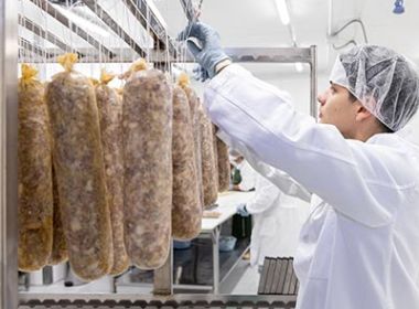 Laboratorio-Zecchini