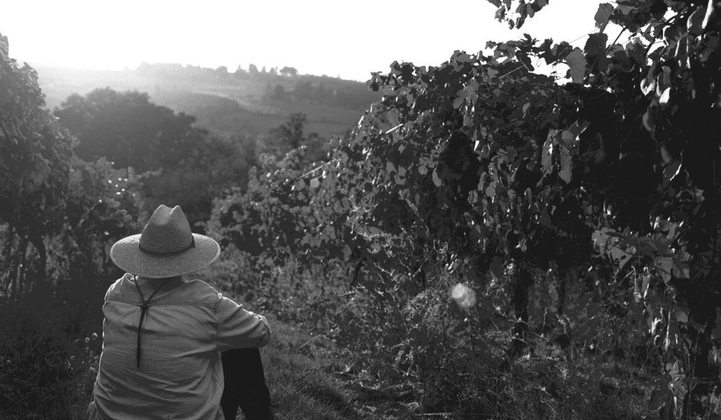 la magnolia wine sofia