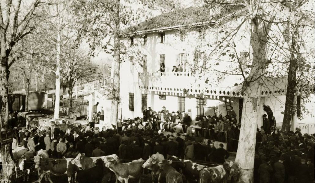 storia latteria turnaria di campolessi