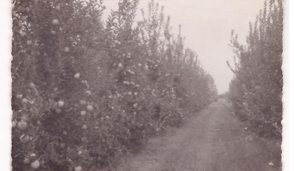 foto storia malpaga kurt