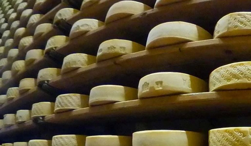 formaggi bio azienda agricola biologica la sisile