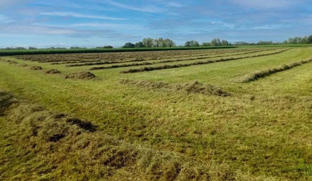 fieni bio azienda agricola biologica la sisile
