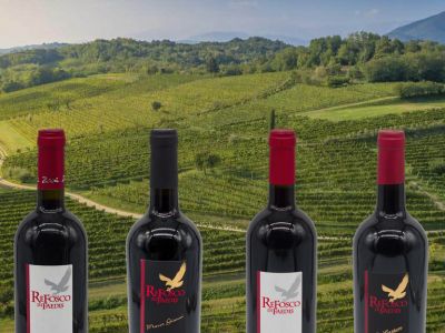 faedis refosco