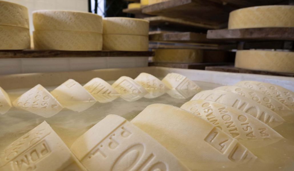 montasio dop malga montasio montasio dop malga montasio