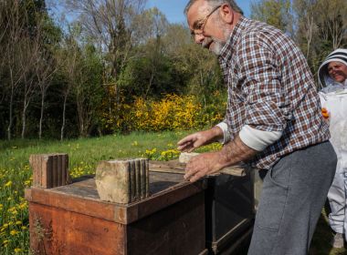 corrado dreosti azienda agricola dreosti corrado
