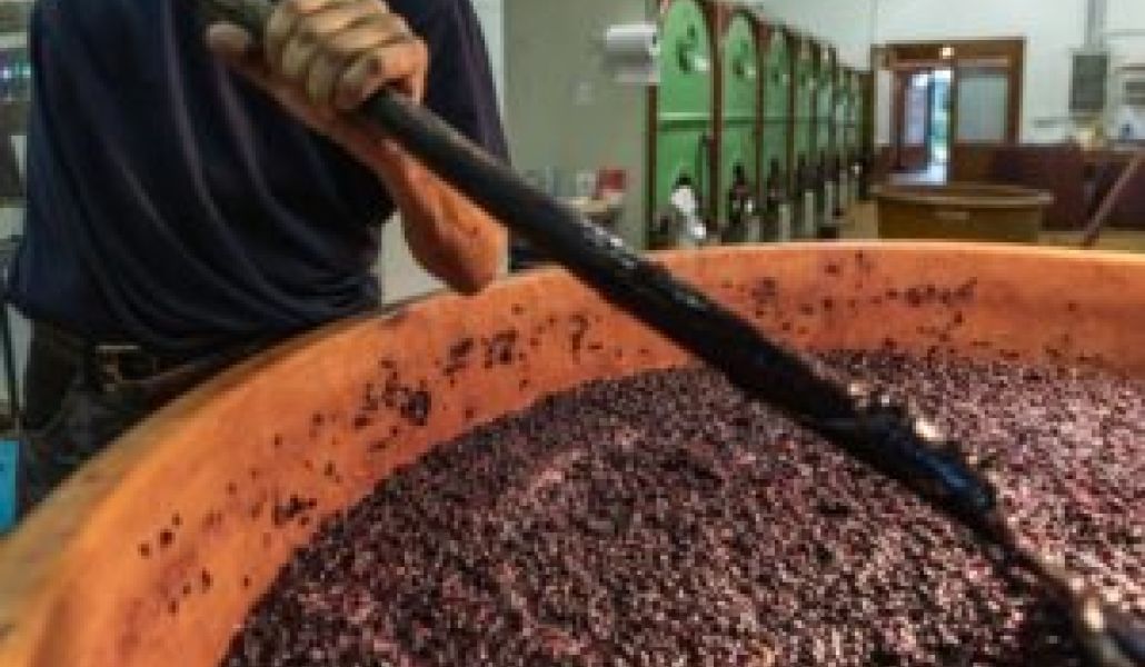 azienda agricola di gaspero flavia e umberto