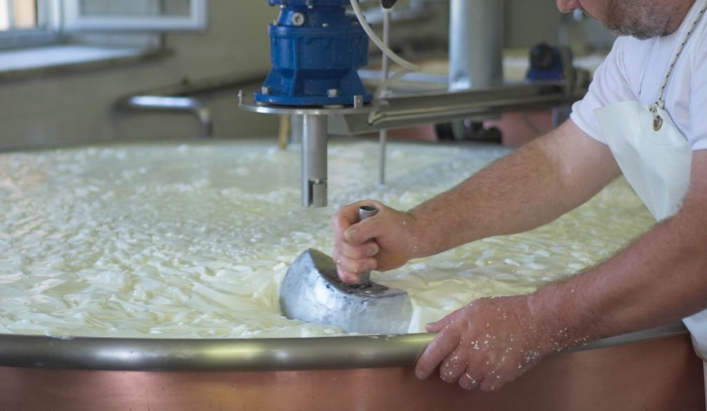 latteria di fagagna borgo paludo