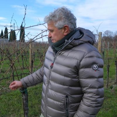 Dario Conte Dario Conte