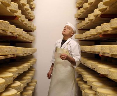 Caseificio della Savia Basilano Logo