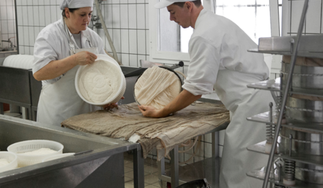 latteria di fagagna borgo riolo