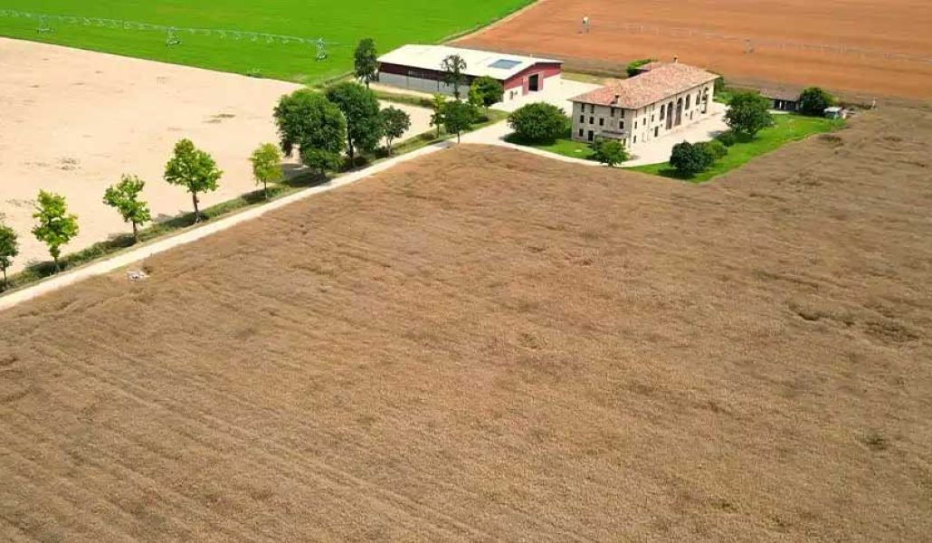 Azienda agricola Tellan