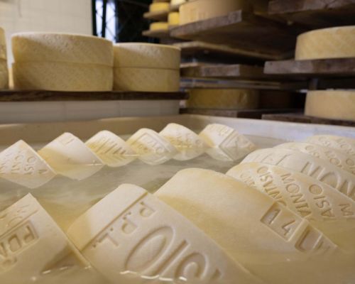 montasio dop malga montasio