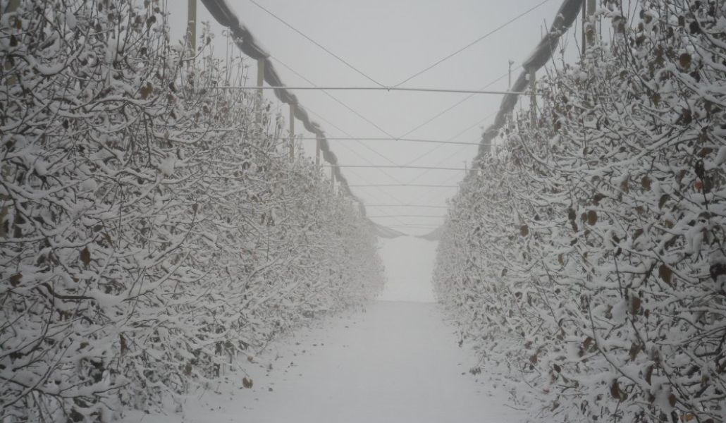 inverno malpaga kurt