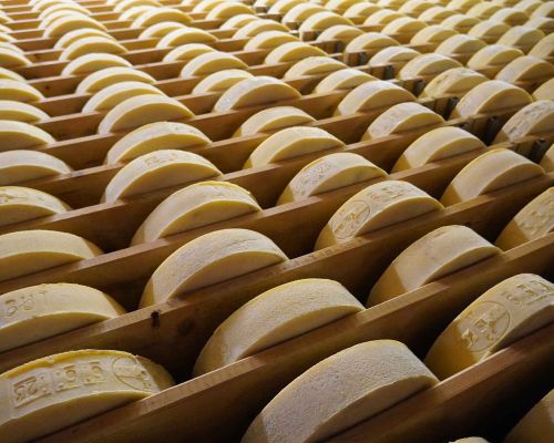 Deposito di formaggi latteria