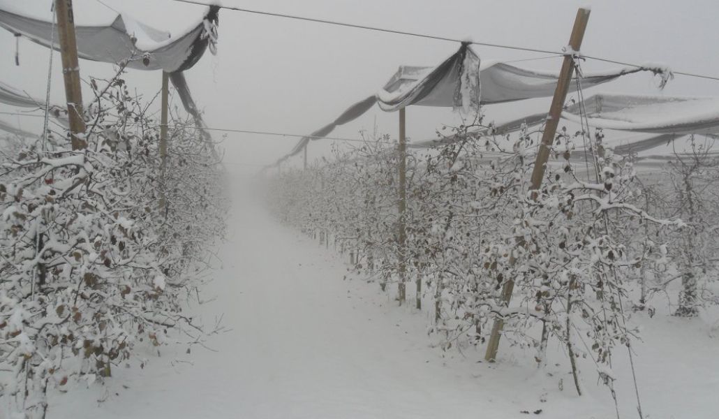 neve azienda agricola malpaga kurt